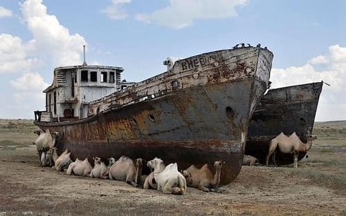 Aral Sea Adventures
